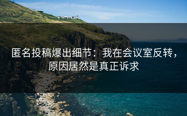 匿名投稿爆出细节：我在会议室反转，原因居然是真正诉求