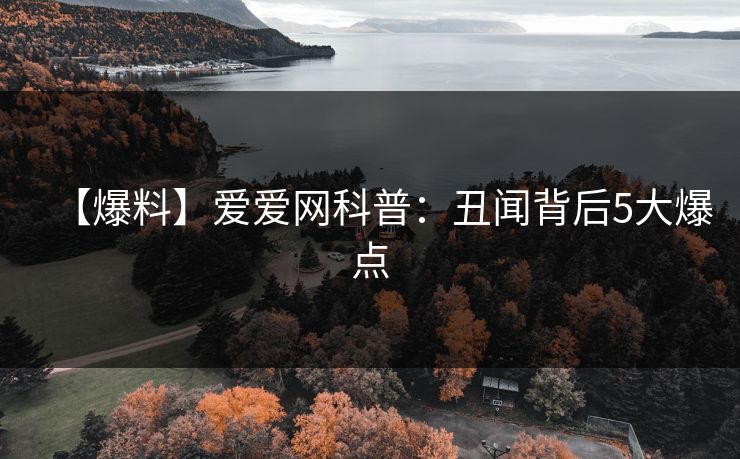 【爆料】爱爱网科普：丑闻背后5大爆点