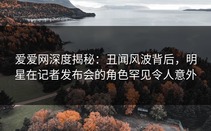 爱爱网深度揭秘：丑闻风波背后，明星在记者发布会的角色罕见令人意外