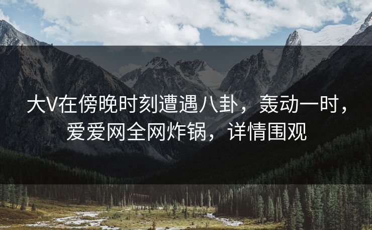 大V在傍晚时刻遭遇八卦，轰动一时，爱爱网全网炸锅，详情围观