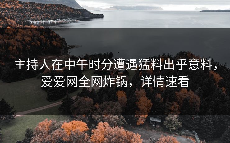 主持人在中午时分遭遇猛料出乎意料，爱爱网全网炸锅，详情速看
